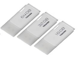 Toshıba 16-32-64 GB Flash Bellekler